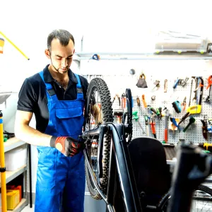 Cycle Installation and Demo