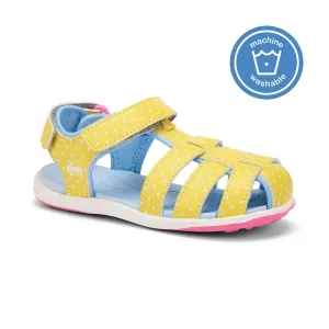 Paley II - Yellow/Blue